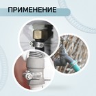 Миниатюра