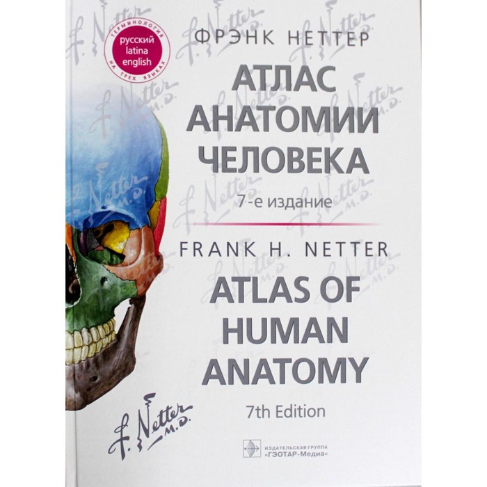 

Атлас анатомии человека. Atlas of Human Anatomy. 7-е издание. Неттер Ф.