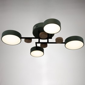 

Люстра с ПДУ 2297/4GN LED 96Вт 3000-6000К зеленый 63х46х14 см