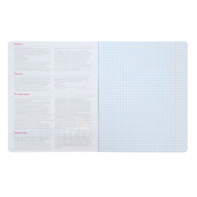 

Тетрадь предметная Кот в теме, 48 листов в клетку «Информатика» со справочным материалом, блок 65 г/м2, гибридный УФ-лак