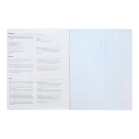 

Тетрадь предметная Кот в теме, 48 листов в клетку «Обществознание» со справочным материалом, блок 65 г/м2, гибридный УФ-лак