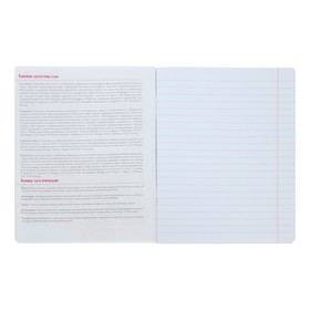 

Тетрадь предметная Кот в теме, 48 листов в линейку «Литература» со справочным материалом, блок 65 г/м2, гибридный УФ-лак