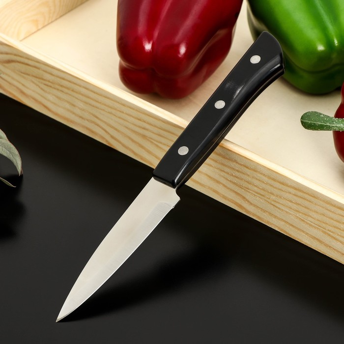 Нож кухонный «Сакура», для овощей, лезвие 9 см нож кухонный для овощей genio nero steel лезвие 9 см