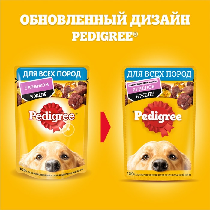 

Влажный корм Pedigree для собак, ягнёнок, желе, пауч, 85 г