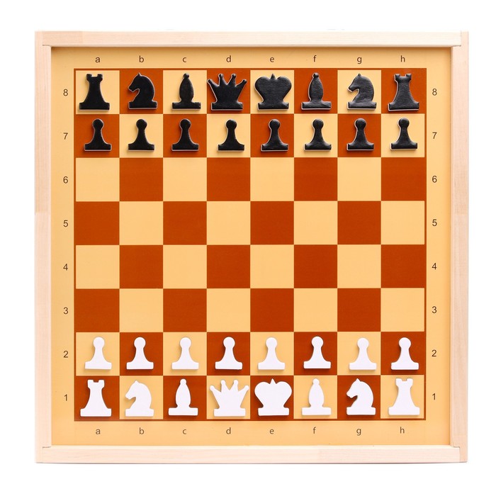 Шахматы и шашки демонстрационные магнитные (мини) шахматы магнитные мини