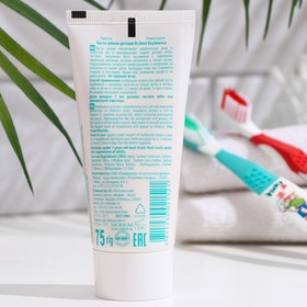 

Паста зубная детская Dr.Dent, Клубничка, 75 г