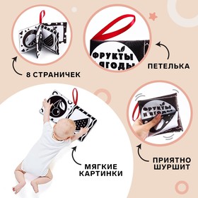 

Книжка - шуршалка по методике Г. Домана «Фрукты и ягоды», 12х12 см