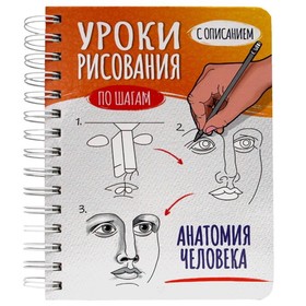 

Анатомия человека