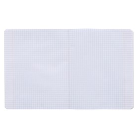 

Тетрадь А5+, 12 листов, в клетку, "Любимые животные", обложка мелованный картон, выборочный УФ-лак, МИКС