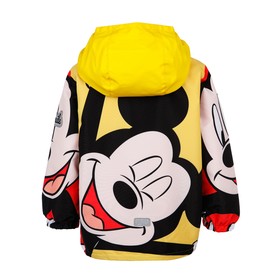 

Ветровка для мальчика Disney, рост 80 см