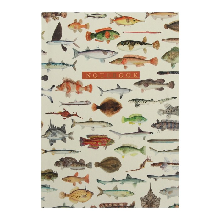 Записная книжка А6+, 64 листа в клетку 