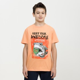 

Футболка для мальчиков, рост 134 см, цвет оранжевый