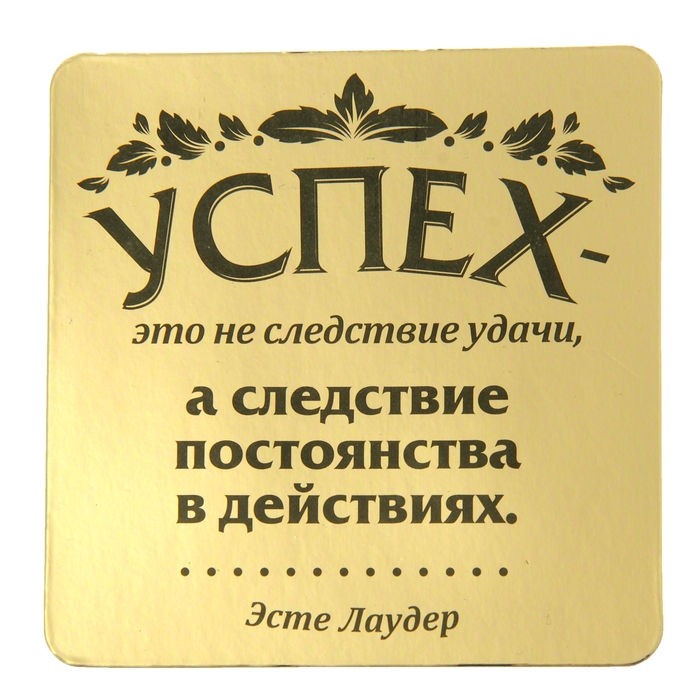 Магнит полимер &quot;Успех - это не следствие удачи&quot;
