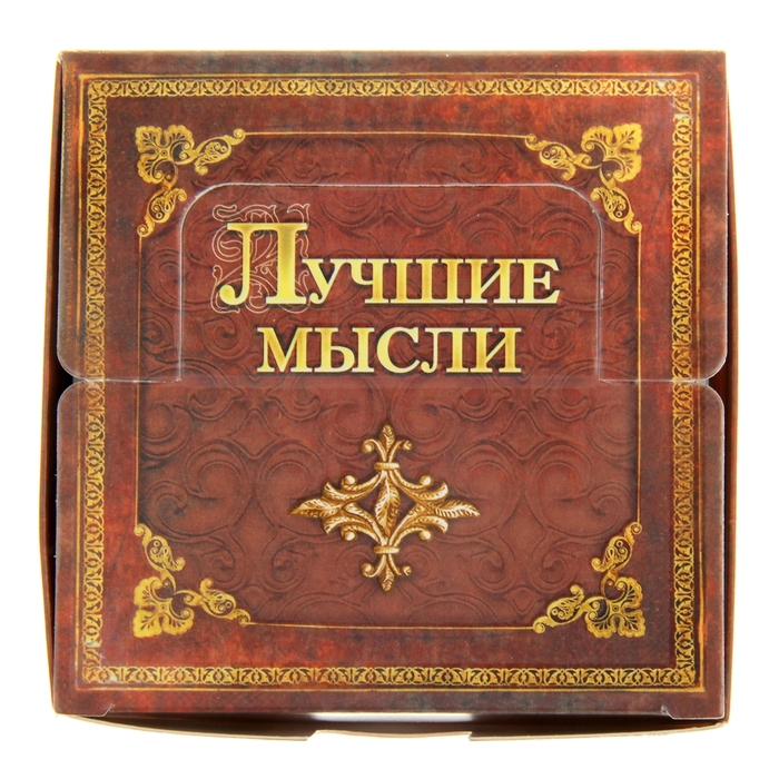 Бумага для записей в коробке "Лучшие мысли" 250 листов