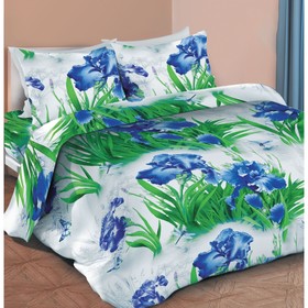 

КПБ «Ирисы» 1,5 сп, размер 214x150 см, 217x143 см, 70x70 см-2 шт.