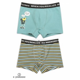 

Трусы для мальчиков, рост 104 см, цвет серый/серый 2 шт.