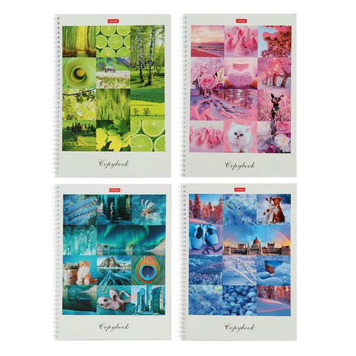 

Тетрадь 80 листов в клетку на гребне "Краски дня", обложка мелованный картон, УФ-лак, цветной срез