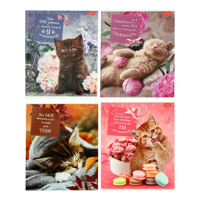 

Тетрадь 40 листов в клетку "Без кота-жизнь не та", обложка мелованный картон, блок 65 г/м2, поля