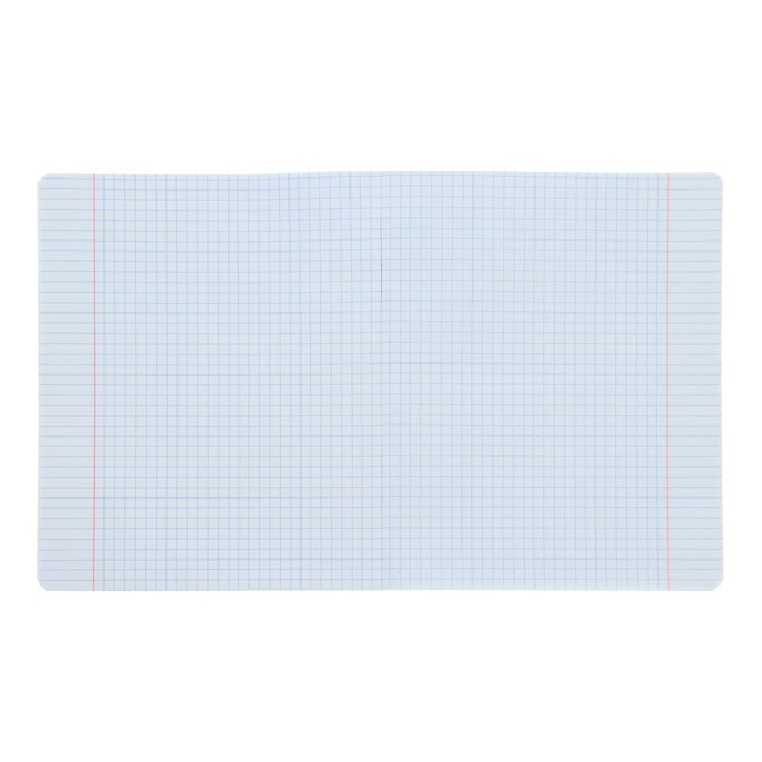 

Тетрадь 48 листов в клетку Romantic cats, обложка мелованный картон, матовая ламинация, 3D фольга, блок 65 г/м2, поля, МИКС