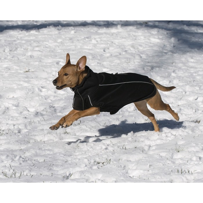 фото Флисовая куртка dog gone smart olympia softshell puffy, р 20, чёрная