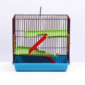 

Клетка для грызунов 3 этажа, пластиковые полки, лесенки, 36 х 24 х 38 см, микс цветов