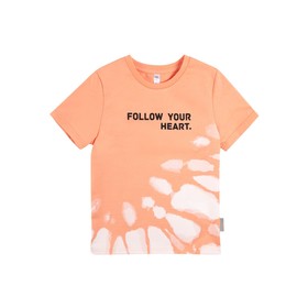 

Футболка для мальчиков, рост 110 см