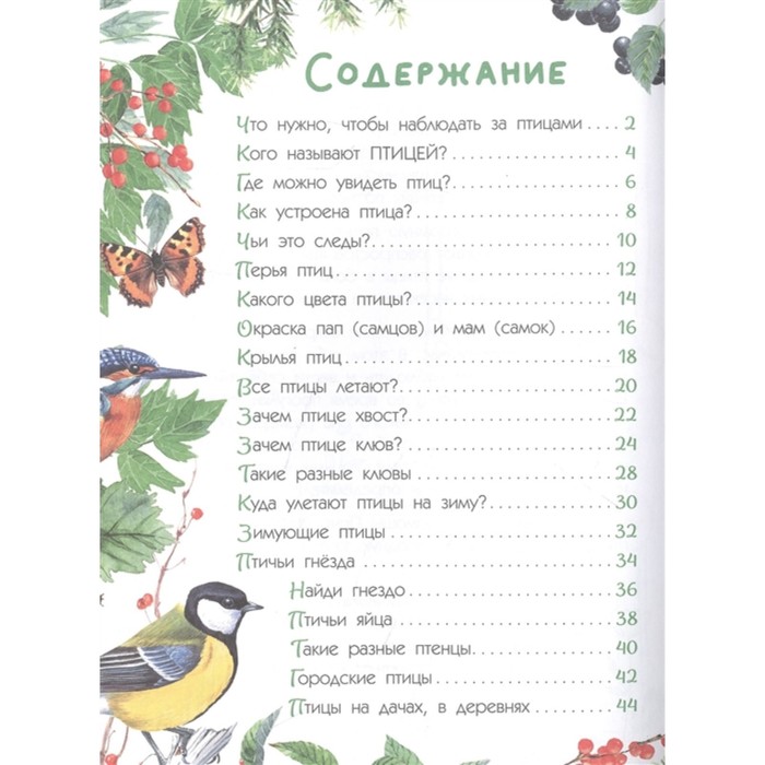 

Птицы. Книга с наклейками