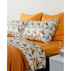 

КПБ 2 сп Wild, размер 200x220 см, 50x70 - 2 шт