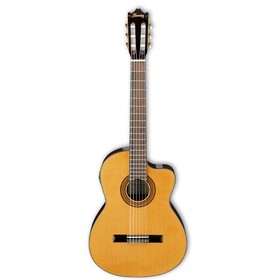 

Электроакустическая гитара IBANEZ GA6CE-AM