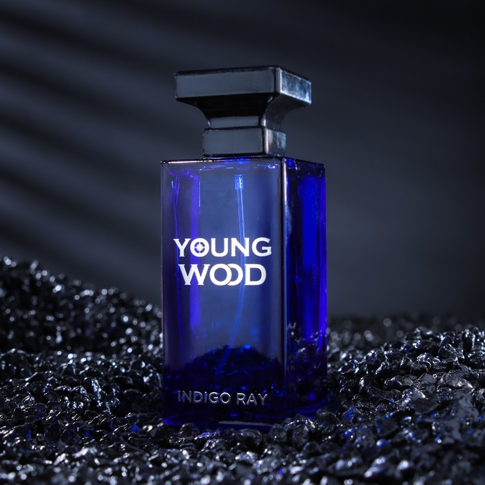 Туалетная вода мужская Young Wood 