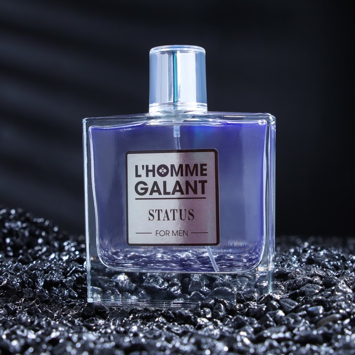 

Туалетная вода мужская L'Homme Galant "Status", 100 мл