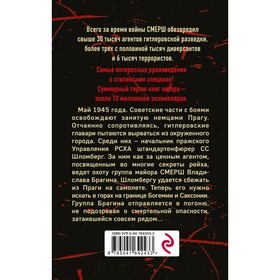 

Последняя тайна рейха. Тамоников А.А.