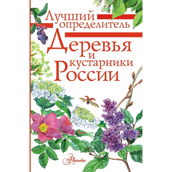 

Деревья и кустарники России. Пескова И. М.