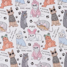 

Бумага упаковочная крафтовая «Котики», 50 × 70 см