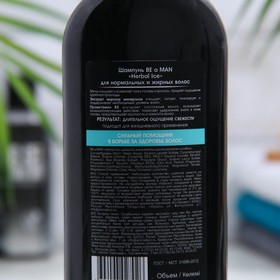 

Шампунь BE a MAN "Herbal Ice" для нормальных и жирных волос, 360 мл