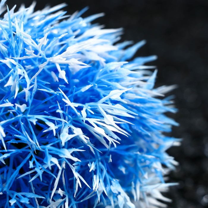 фото Растение - шар для аквариума, 13 см, синее пижон аква