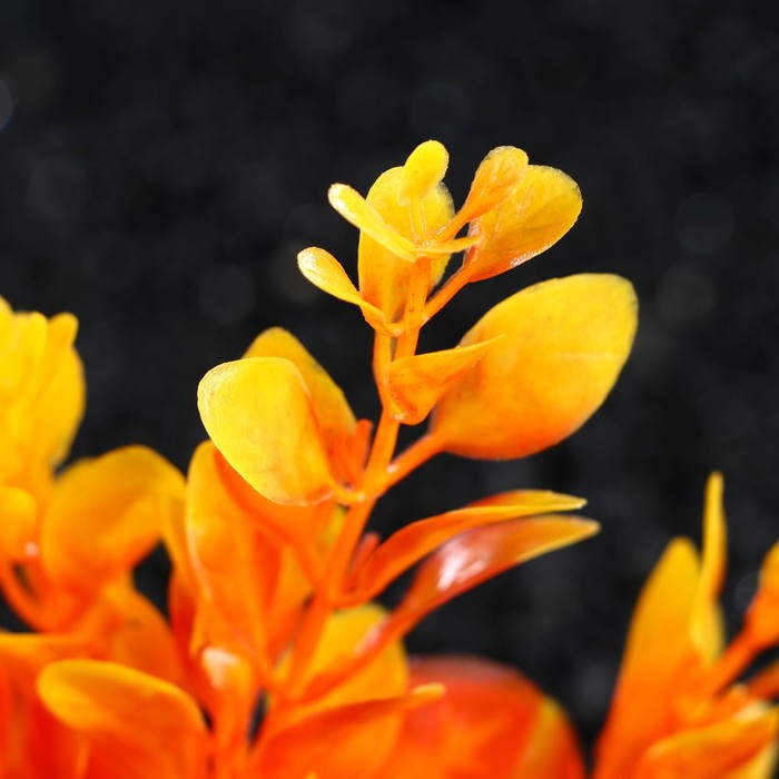 

Растение искусственное аквариумное, 3 х 13 см, оранжевое