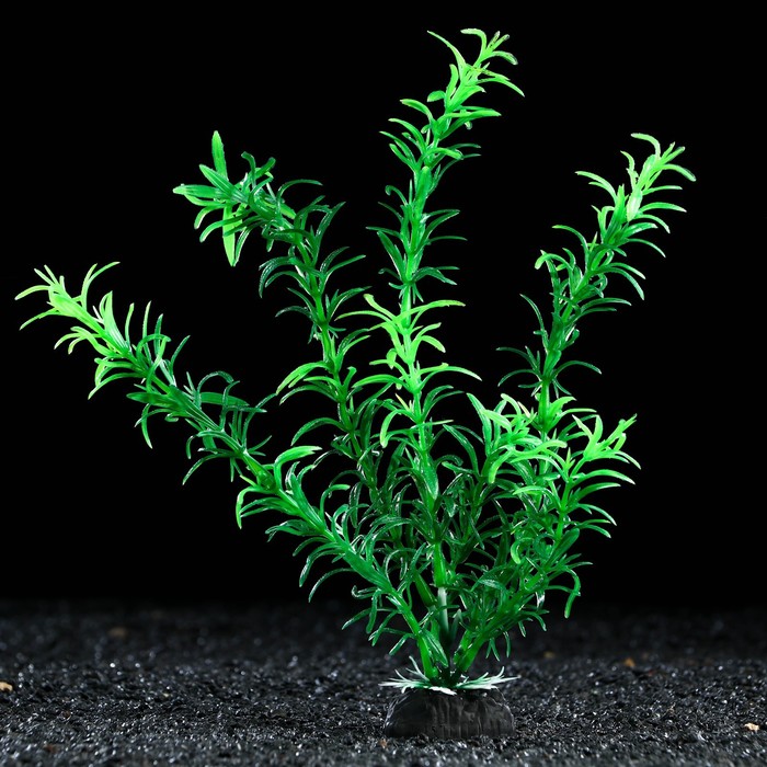Растение искусственное аквариумное, 4 х 20 см, зеленое смешанное зеленое антуриевое полиэфирное искусственное растение 24 дюйма набор из 2 шт красное