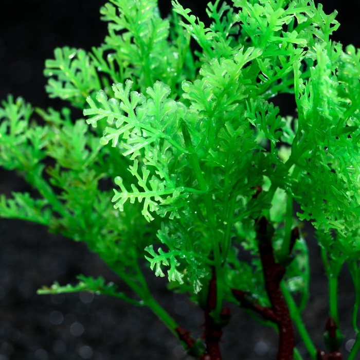 Растение искусственное аквариумное, 15 см, зелёное