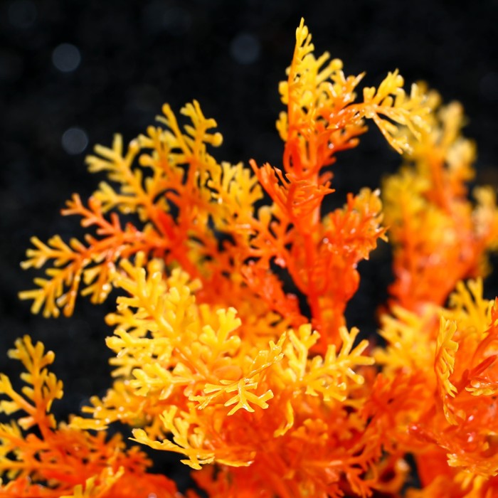 Растение искусственное аквариумное, 15 см, оранжевое