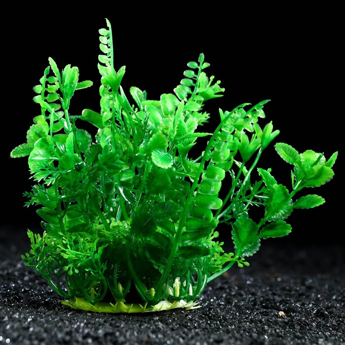 

Растение искусственное аквариумное, 15 см, зелёное