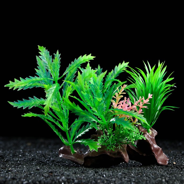 Растение искусственное аквариумное на платформе в виде коряги, 18 см, зелёное