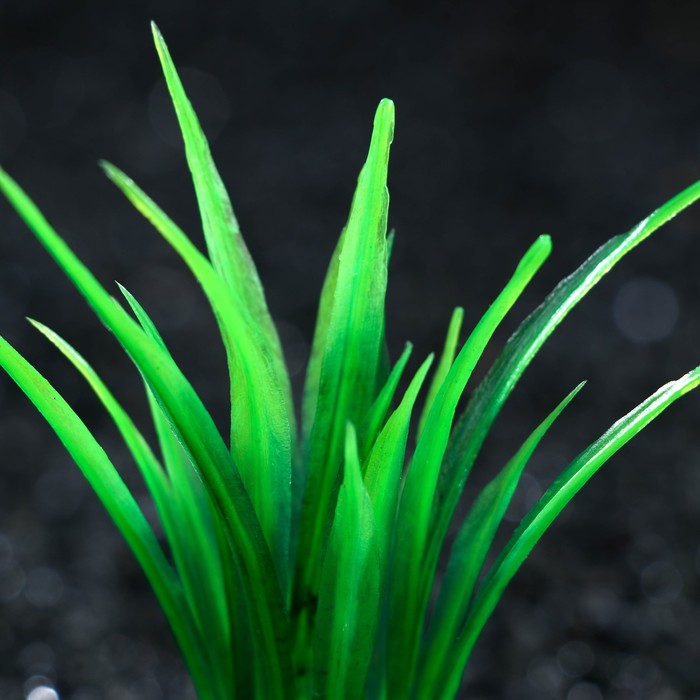фото Растение искусственное аквариумное, 5 см, зелёное пижон аква