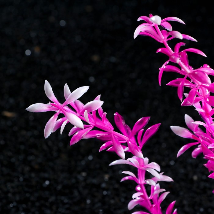 Растение искусственное аквариумное на платформе в виде коряги, 30 см, розовое