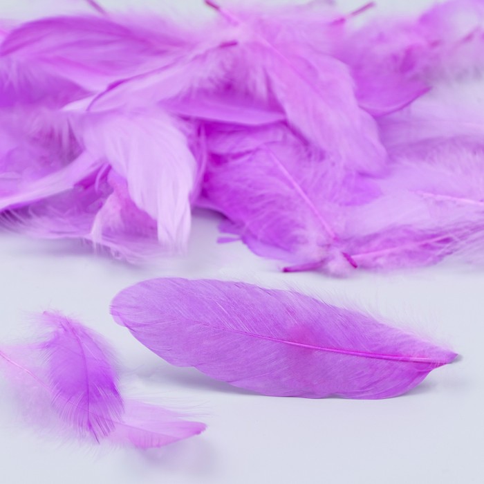 Наполнитель из перьев для шаров и подарков, светло-фиолетовый, 10-12см 8гр.