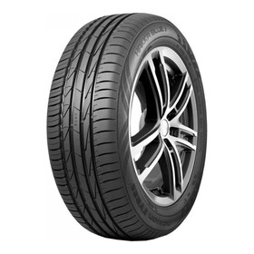 

Шина летняя Nokian Hakka Blue 3 205/55 R17 95V