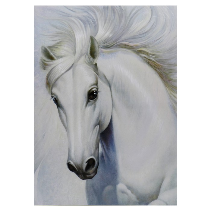 Картина-холст на подрамнике Белый конь 50х70 см картина холст на подрамнике вперёд 50х70 см