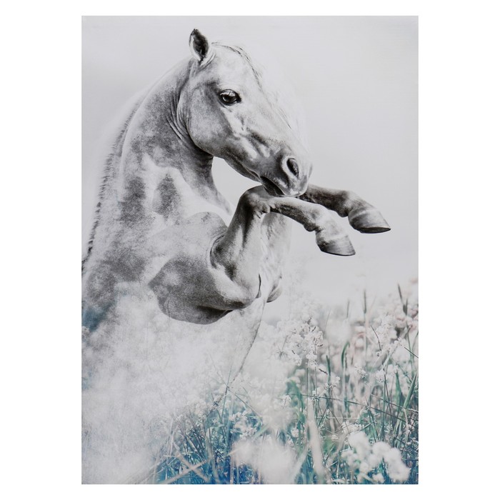 Картина-холст на подрамнике Конь 50х70 см картина ретровейв новолуние 50х70 см синтетический холст