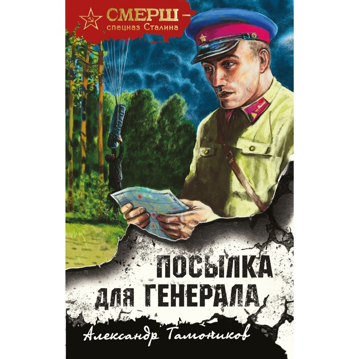 

Посылка для генерала. Тамоников А.А.