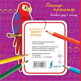 

Тетрадь-тренажёр: готовим руку к письму